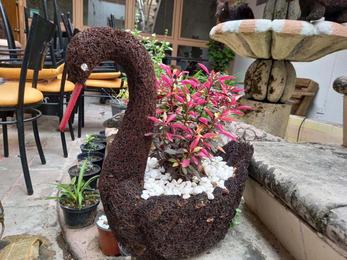 Kia Kat Hotell San Miguel de Allende Exteriör bild