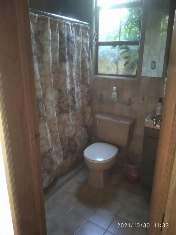 Kia Kat Hotell San Miguel de Allende Exteriör bild